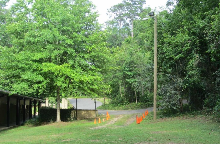 Overflow Parking